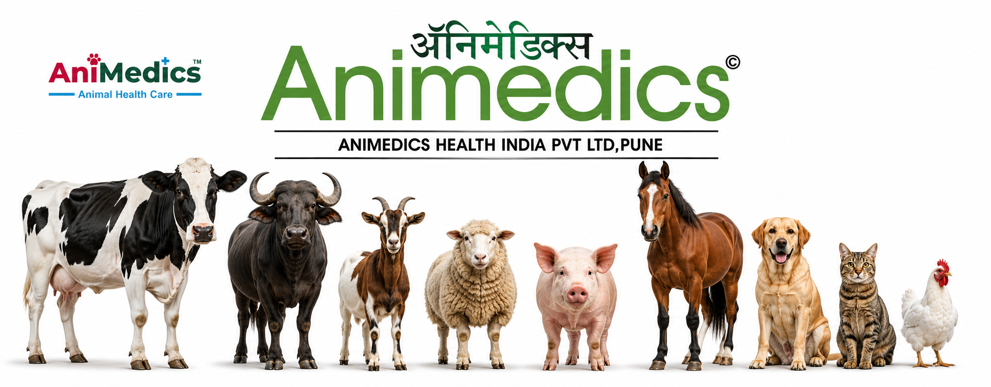 Promotional banner for Animedics, a leading global veterinary CRO specializing in animal health clinical trials