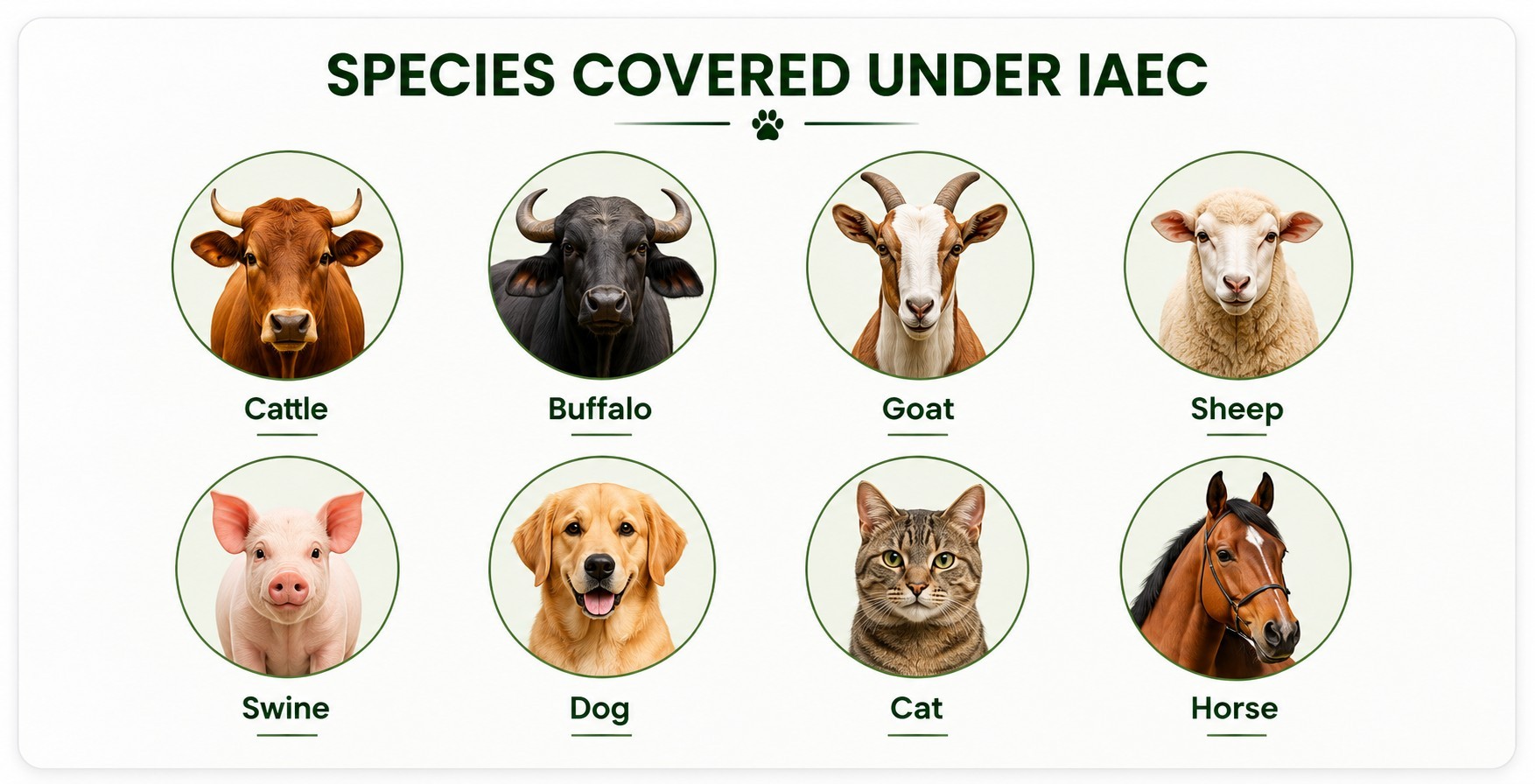 REGISTERED Institutional Animal Ethics Committee Overview